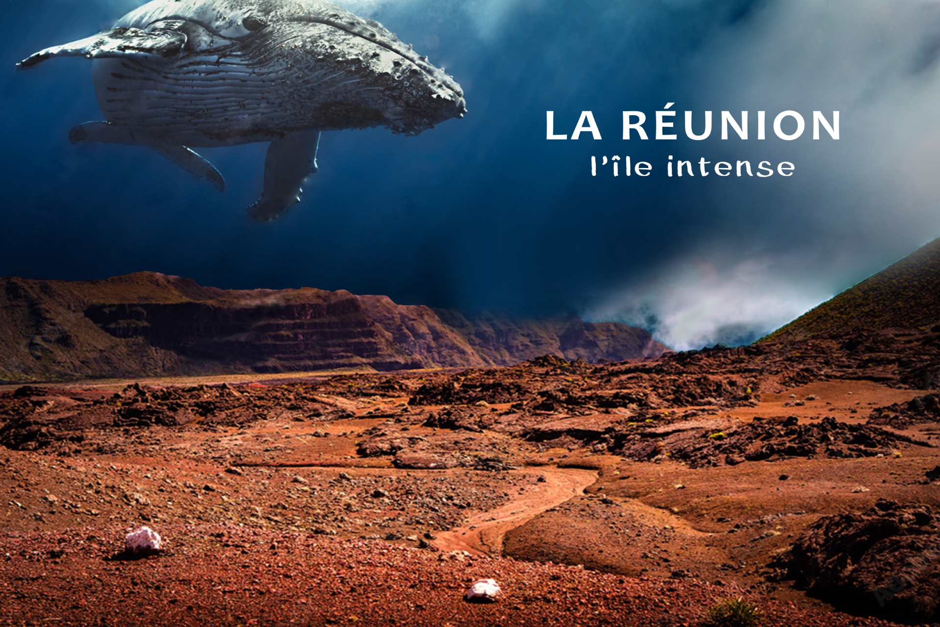 affiche tourisme reunion